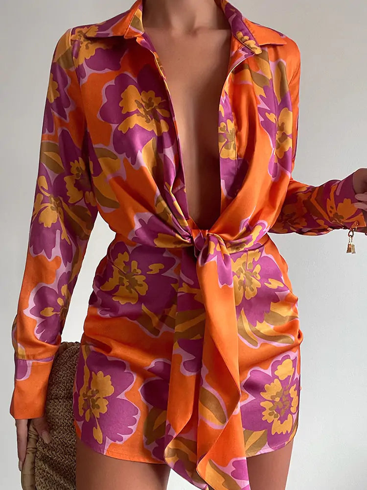Spring Lantern Sleeve Dress